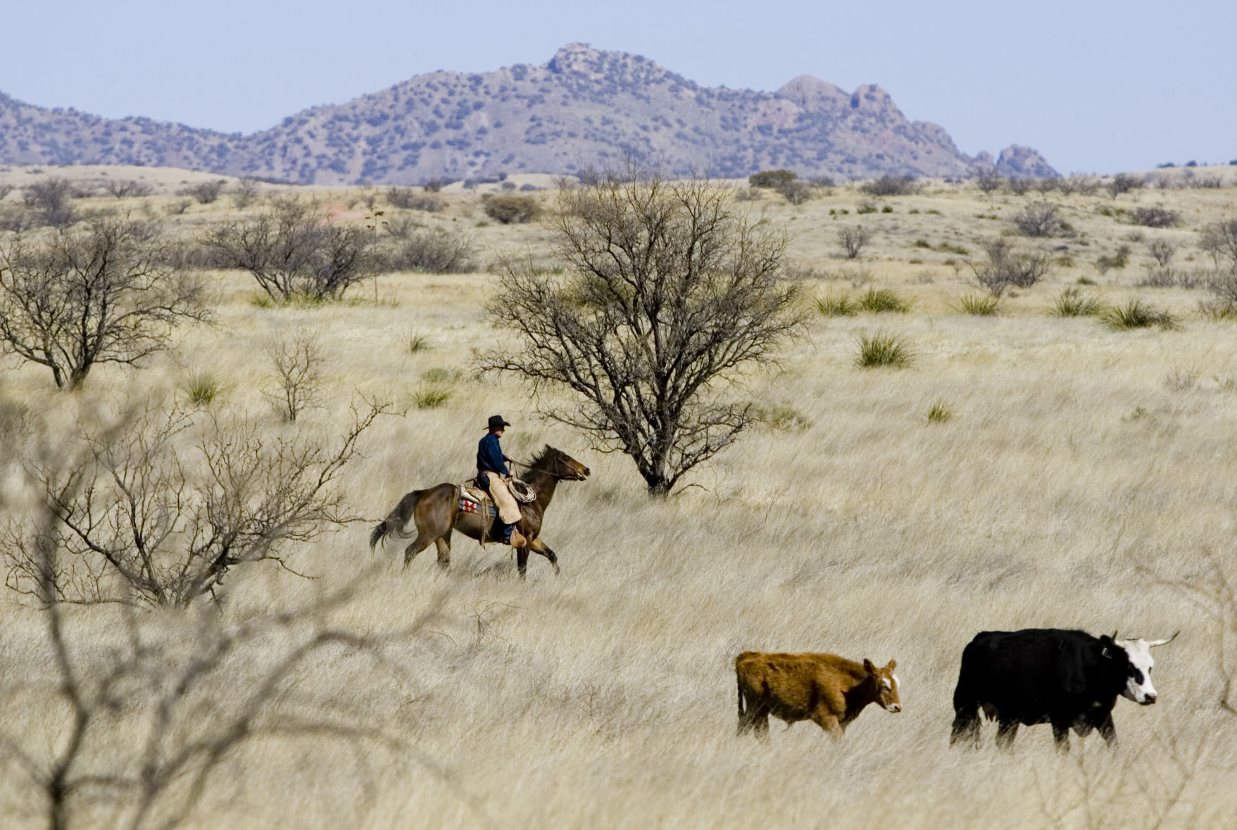 Historic Empire Ranch near Sonoita